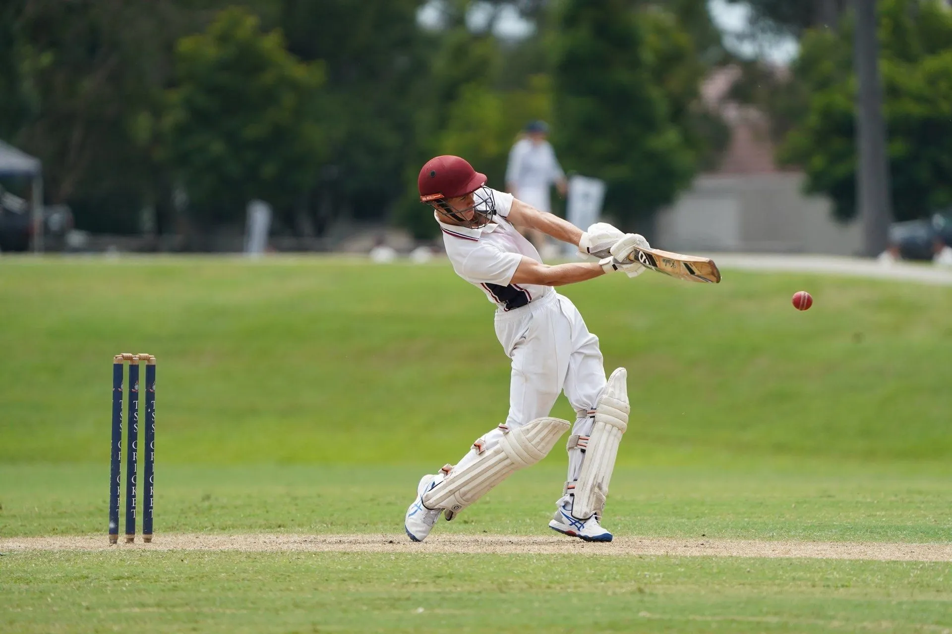 Cricket