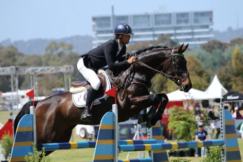 Horses Riding